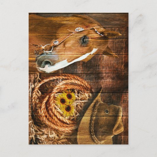 Pferde Cowboy Hat Lasso Sonnenblume Rustikales Bar Postkarte (Vorderseite)