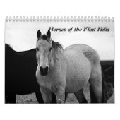 Pferde der Feuerstein-Hügel Kalender (Titelbild)