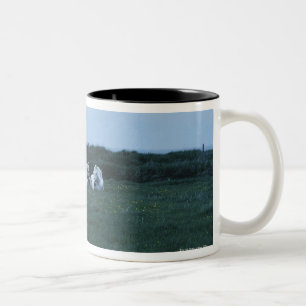 Pferde, die auf dem Gebiet, Perci, Quebec, Kanada Zweifarbige Tasse