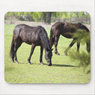 Pferde, die auf einem Pferdebauernhof weiden Mousepad