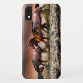 Pferde, die bei Sonnenuntergang im Ozean surfen Case-Mate iPhone Hülle (Rückseite)