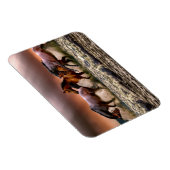 Pferde, die bei Sonnenuntergang im Ozean surfen Magnet (Rechte Seite)