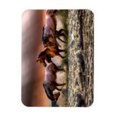 Pferde, die bei Sonnenuntergang im Ozean surfen Magnet (Vertikal)