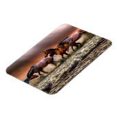 Pferde, die bei Sonnenuntergang im Ozean surfen Magnet (Linke Seite)