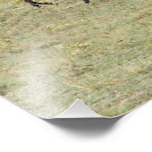 Pferde, die den weiten offenen Westen genießen Fotodruck (Ecke)