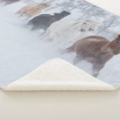 Pferde, die durch den Schnee laufen Sherpadecke (3/4)