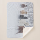 Pferde, die durch den Schnee laufen Sherpadecke (Vorderseite)