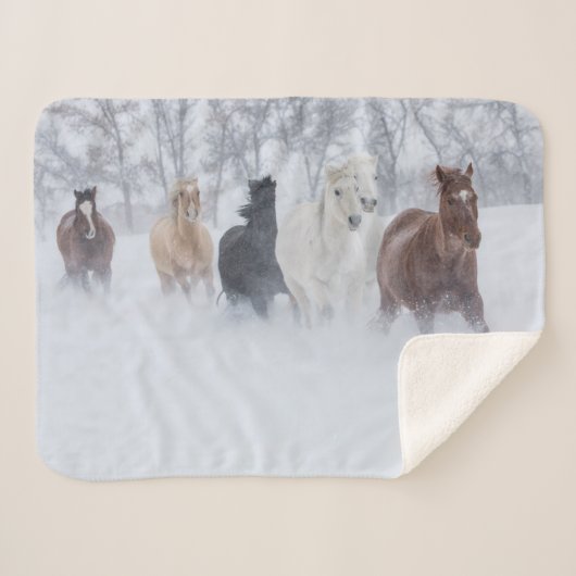 Pferde, die durch den Schnee laufen Sherpadecke (Vorderseite (Horizontal))