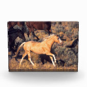 Pferde, die eine Ponderosa Ranch laufen Fotoblock (Vorderseite)