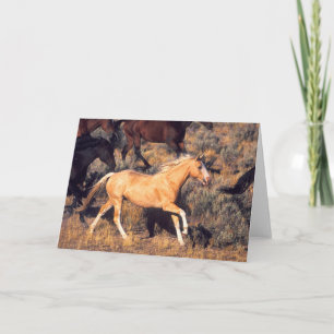 Pferde, die eine Ponderosa Ranch laufen Karte