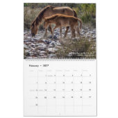 Pferde, die frei sind kalender (Feb 2027)