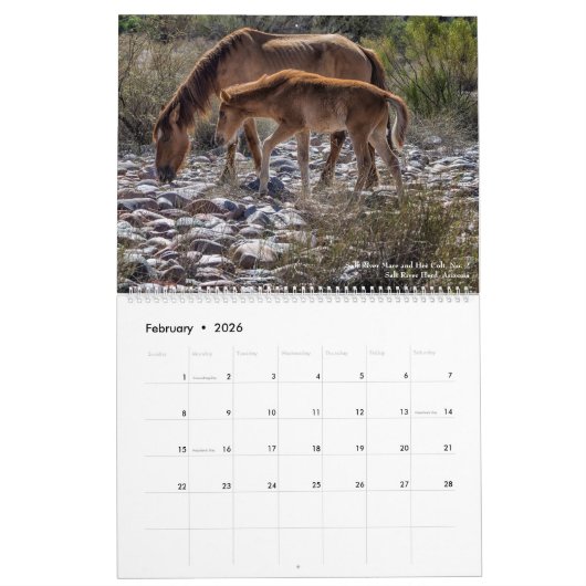 Pferde, die frei sind kalender (Feb 2026)