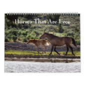 Pferde, die frei sind kalender (Titelbild)