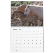 Pferde, die frei sind kalender (Jan 2027)