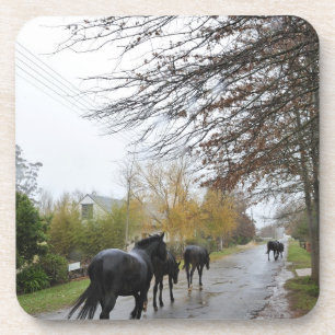 Pferde, die hinunter Eichen-Straße im Regen gehen Untersetzer