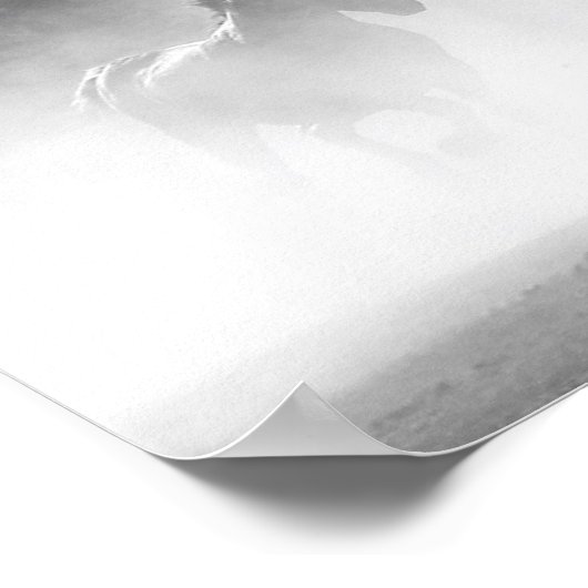 Pferde, die im Nebel Schwarz und Weiß laufen Poster (Ecke)