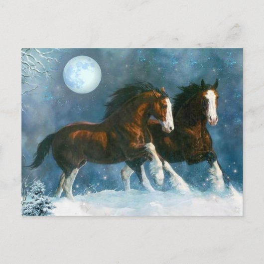 Pferde, die im Schnee laufen Postkarte (Vorderseite)