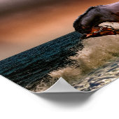 Pferde, die im Surf laufen Poster (Ecke)