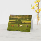 Pferde, die in Bower Hinton weiden, bald gut werde Karte (Gelbe Blume)