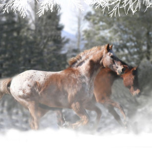 Pferd Am Weihnachten Aufkleber Zazzle De
