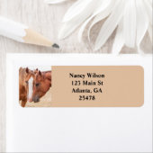 Pferde, die in einer Weide nass werden (Insitu)