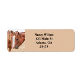 Pferde, die in einer Weide nass werden (Vorne)