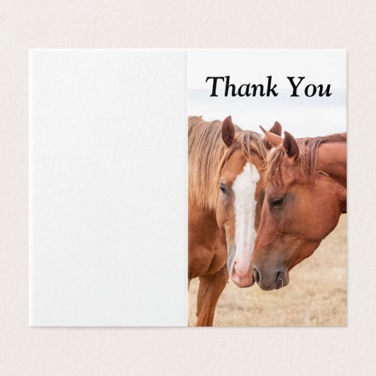 Pferde, die in einer Weide nass werden (Außenseite Aufgefaltet)