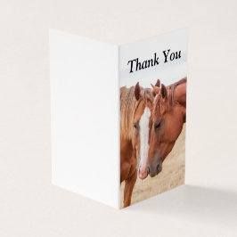 Pferde, die in einer Weide nass werden