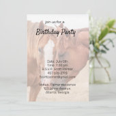 Pferde, die in einer Weide nass werden Einladung (Stehend Vorderseite)