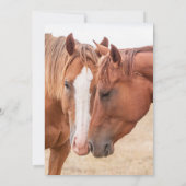 Pferde, die in einer Weide nass werden Einladung (Rückseite)