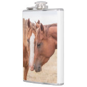 Pferde, die in einer Weide nass werden Flachmann (Links)