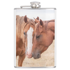 Pferde, die in einer Weide nass werden Flachmann