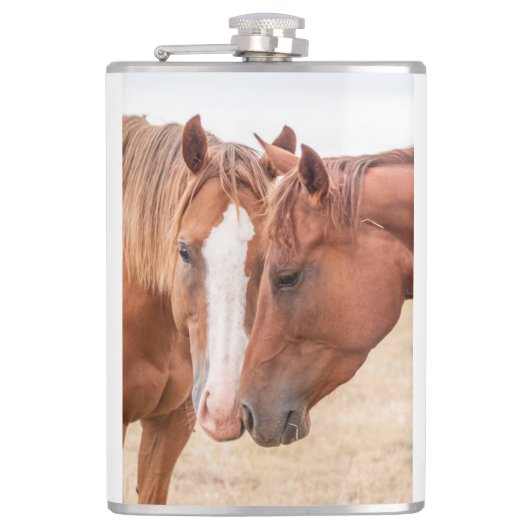 Pferde, die in einer Weide nass werden Flachmann (Vorderseite)