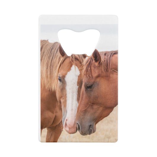 Pferde, die in einer Weide nass werden Geldbeutel Flaschenöffner (Vorderseite)