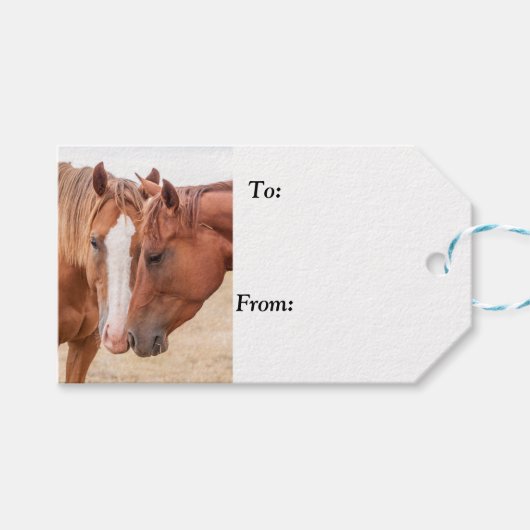 Pferde, die in einer Weide nass werden Geschenkanhänger (Vorderseite (Horizontal))