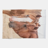 Pferde, die in einer Weide nass werden Geschirrtuch (Horizontal)