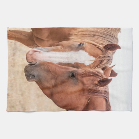 Pferde, die in einer Weide nass werden Geschirrtuch (Horizontal)