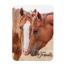 Pferde, die in einer Weide nass werden Magnet