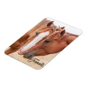 Pferde, die in einer Weide nass werden Magnet (Linke Seite)