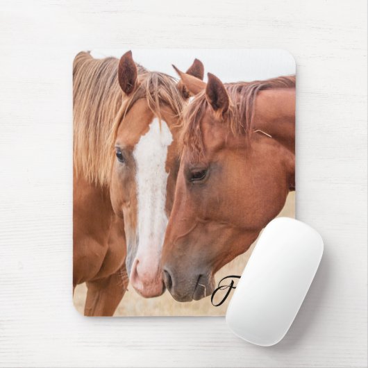 Pferde, die in einer Weide nass werden Mousepad (Mit Mouse)