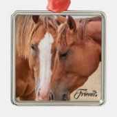 Pferde, die in einer Weide nass werden Ornament Aus Metall (Vorne)