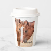 Pferde, die in einer Weide nass werden