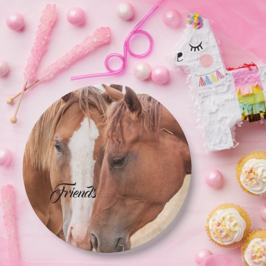 Pferde, die in einer Weide nass werden Pappteller (Party)