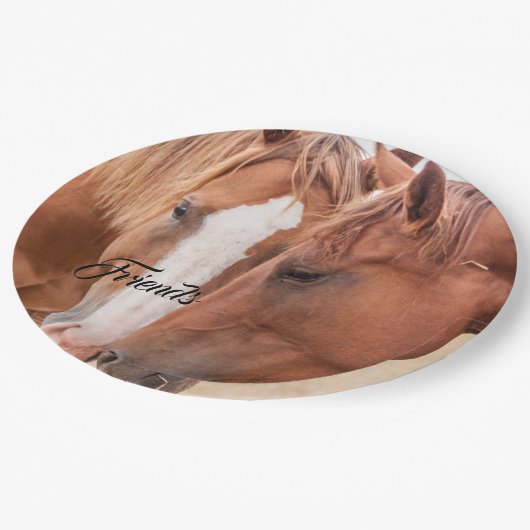 Pferde, die in einer Weide nass werden Pappteller (Schrägansicht)