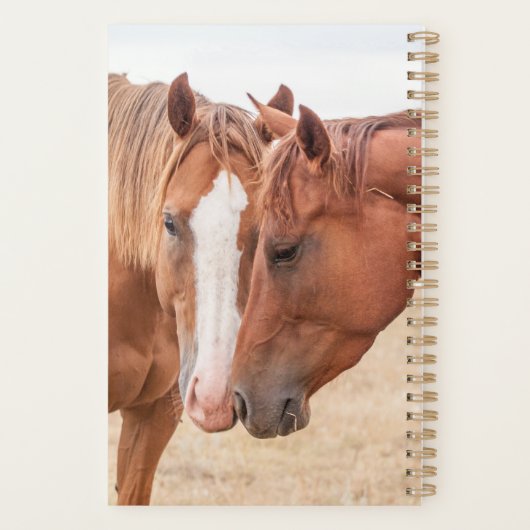 Pferde, die in einer Weide nass werden Planer (Rückseite)