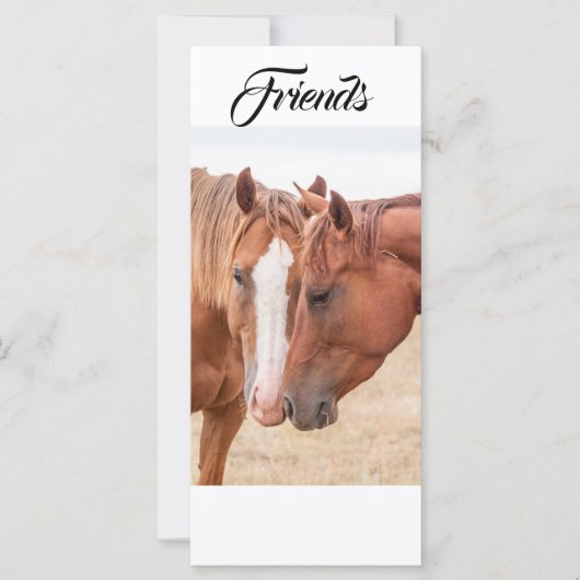 Pferde, die in einer Weide nass werden Platzkarte (Vorderseite)