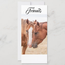 Pferde, die in einer Weide nass werden Platzkarte