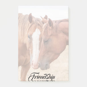 Pferde, die in einer Weide nass werden Post-it Klebezettel