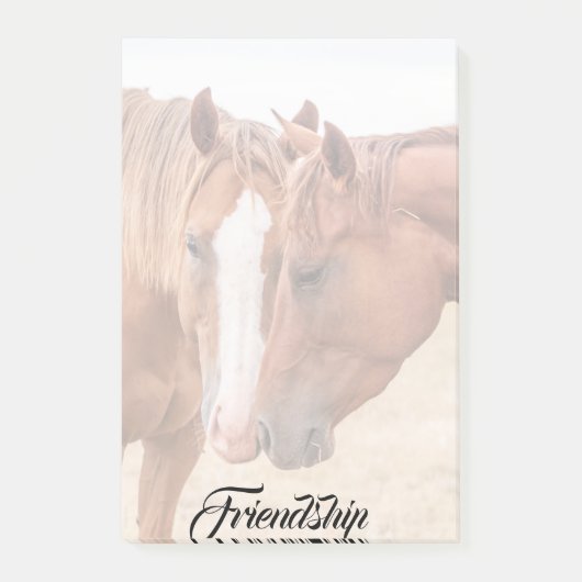 Pferde, die in einer Weide nass werden Post-it Klebezettel (Vorderseite)