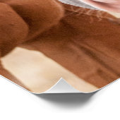 Pferde, die in einer Weide nass werden Poster (Ecke)